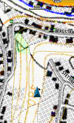 Garmin BirdsEye beide